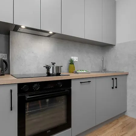 Apartment Family With A Workspace And Balcony Close To The Old Town Of By Renters Danzig
